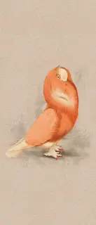 Керамогранит MOOOI NESTING ROOM SPEC.EDIT. CLOIS.DOVE NAT R 120X280