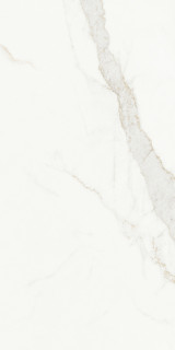 Blanc Calacatta Gold Soft 60x120