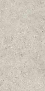 Beren Light Grey Natural 60x120