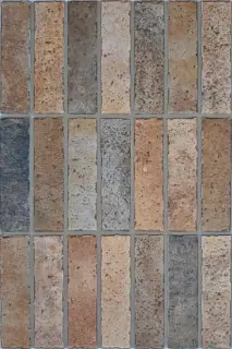 Elvas Coto 40x60