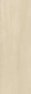 Italy Travertine White 3 mm  texture 102x302