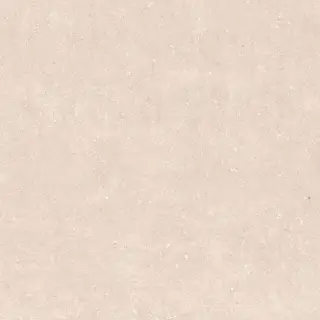 Rinascenza Arena Bianco Antico Matte R10 B 120x120