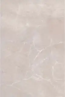 Баккара беж темный ZZ |20x30