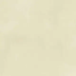 Ivory Crayon Matt 20x20