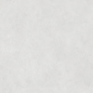 STARK WHITE NAT.PV6 120X120(A)
