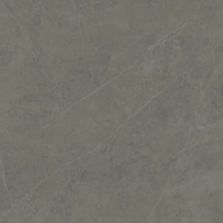 LIEM GREY NAT.PV6 120X120(A)