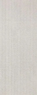 Noir Caliza Spiga 45x120