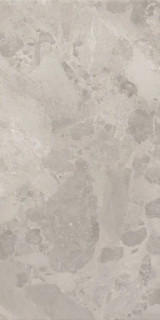BLOOMSTONE SILT 60X120 RT