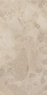 BLOOMSTONE SHELL 60X120 RT