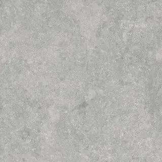 Fossil Gris 2 cm 60x60