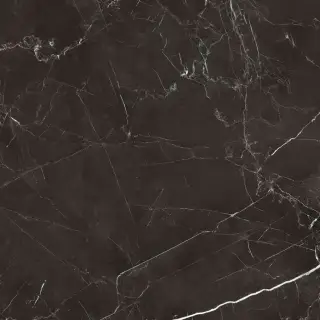 Royal black 60x60