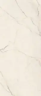 TREX6 278W LP (п.п.) ZZ 120x278