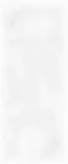 Sweety white wall 01 25х60