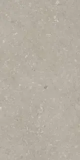 Shellstone Taupe 60x120
