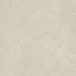 Shellstone Beige 120x120