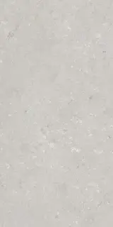 Shellstone Bianco 60x120