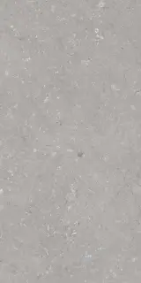 Shellstone Grigio 60x120