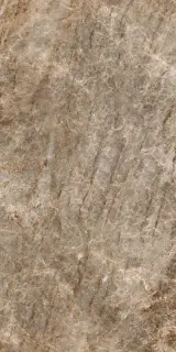 Керамогранит ICONIC LIFE MOKA YAMUNA GLO 60x120RET