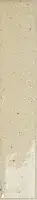 Fit Vanilla