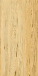 Alleya 2101 Медовый Структурированный 60x120