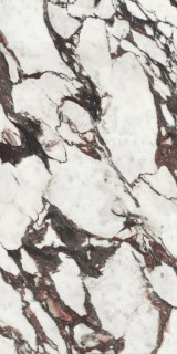MEDICEA MARBLE POL RECT N 60X120