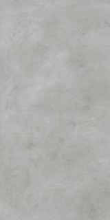 Bercy Grigio 60x120