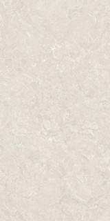 ODYSSEY WHITE REC.GLASS (T)C  60X120