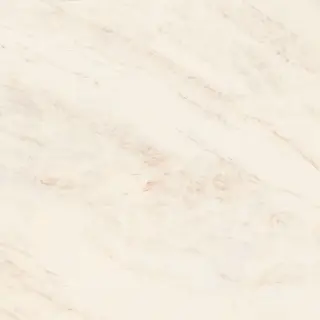 Oyster White 120x120