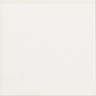 Плитка настенная Vilar Albaro Monocolor Liso Mate Blanco матовая белая CVA0121 10х10 см