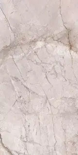 Marble Dragon Grey Polished 60x120