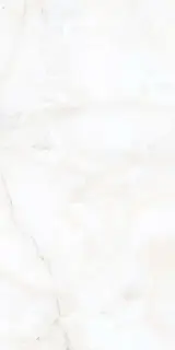 Nikita White Pol. 60x120