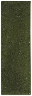 Evergreen Medium
