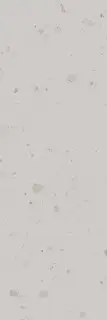 Тараскон серый светлый матовый обрезной 30x89,5x0,9