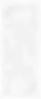 Sweety white wall 01 25х60
