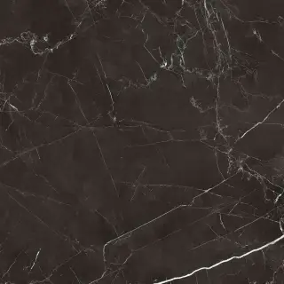 Royal black 60x60