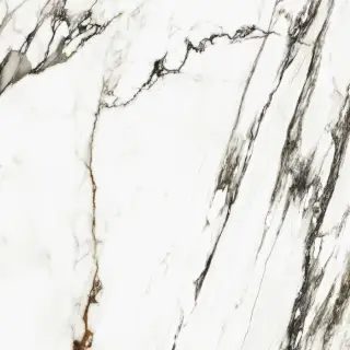 PAONAZZO BIONDO SILK PV6 120X120(A)
