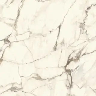 CALACATTA GOLD POL.PV6 120X120(A)
