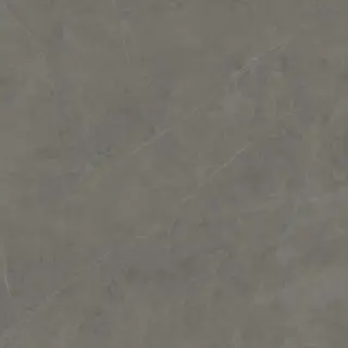 LIEM GREY NAT.PV6 120X120(A)