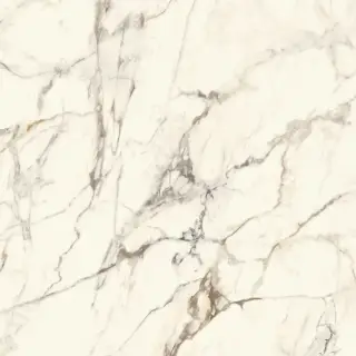CALACATTA GOLD NAT.PV6 120X120(A)