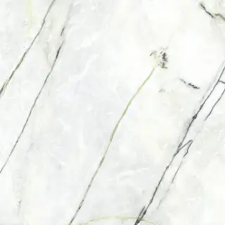 CALACATTA GREEN SILK PV6 120X120(A)
