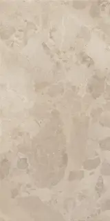BLOOMSTONE SHELL 60X120 RT