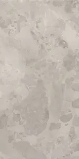 BLOOMSTONE SILT 60X120 RT