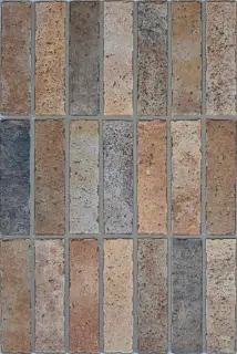 Elvas Coto 40x60