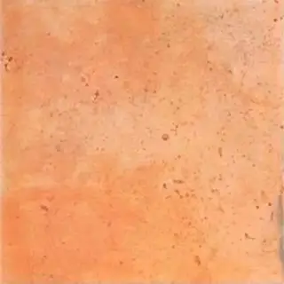 Barro Ocre ZZ |20x20