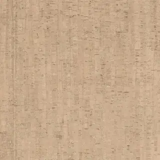 Rinascenza Modulo Conchiglia Matte R10 B 120x120