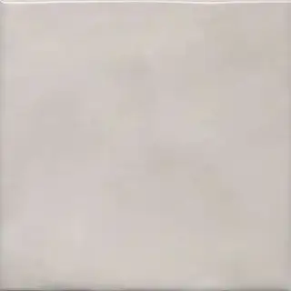Адриатика серый глянцевый 20x20