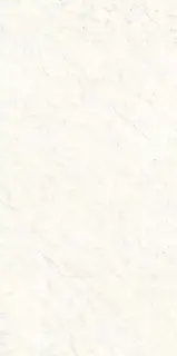 Bianco Carrara Lev Silk 6 mm XX 150x300