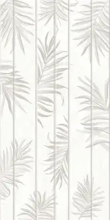 Equadore fern 1 KL l 31.5x63