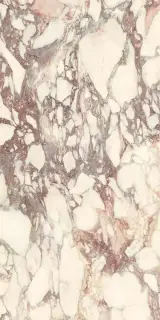 Calacatta Viola Soft 60x120