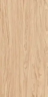 Олива бежевый обрезной ХХ|60x119,5